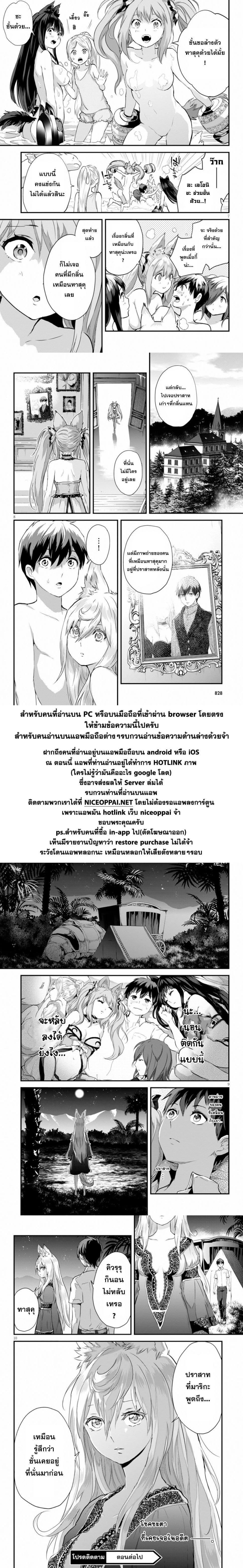 Alcafus 14-หยุดพัก