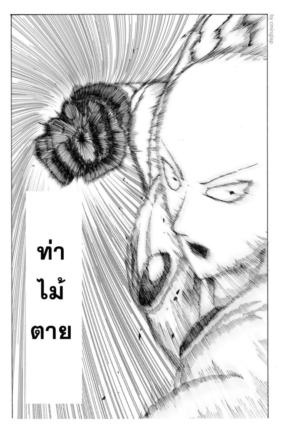 The Fight Of Gods (Fanmade One Punch Man comic) 2-2