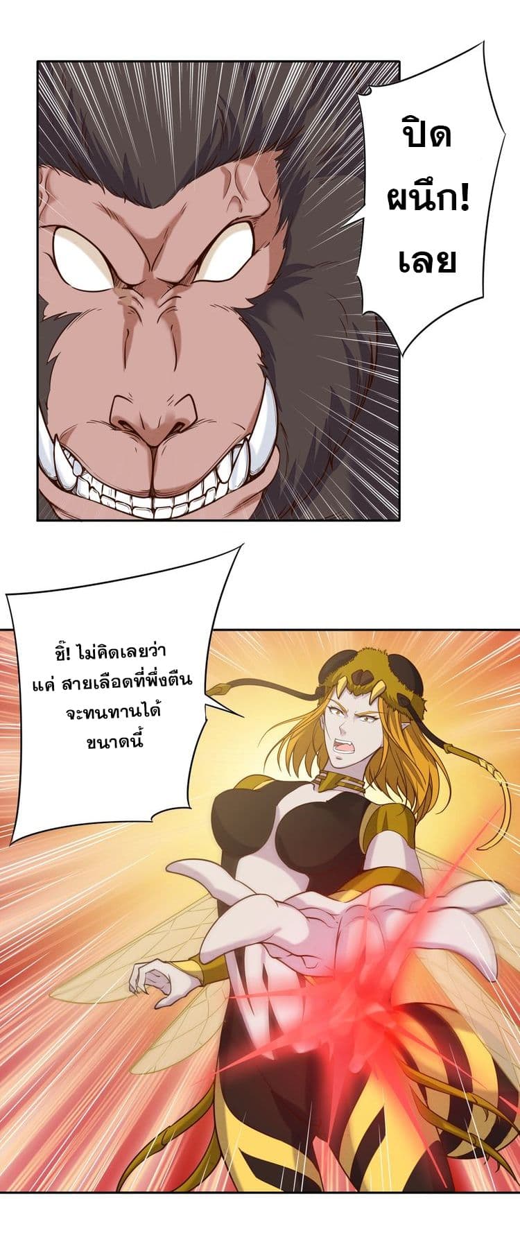 Continent Seal Dragon 6-6