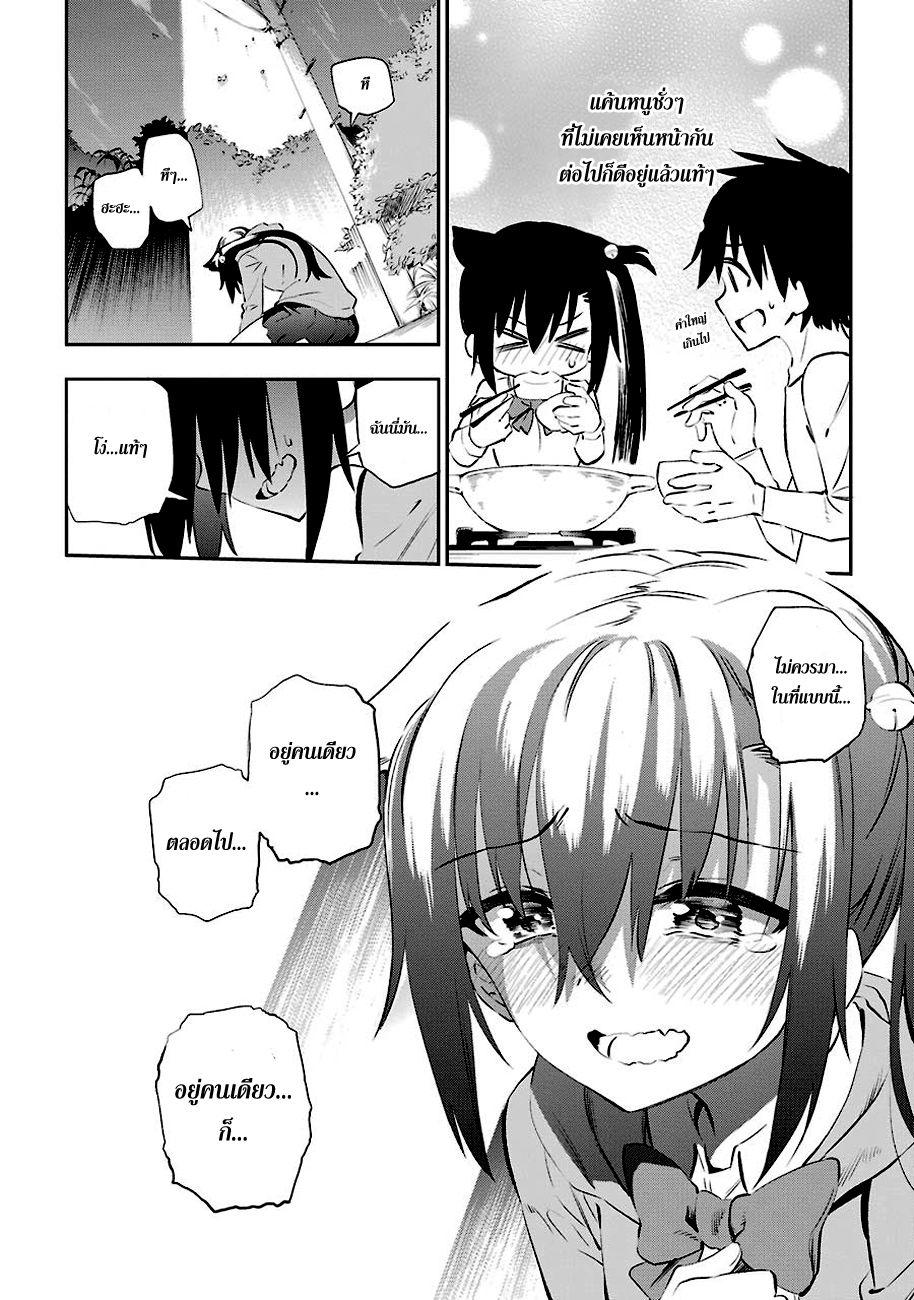 Urami Koi, Koi, Urami Koi 5-แมวที่จับหนูไม่ได้, หนูไล่แมว