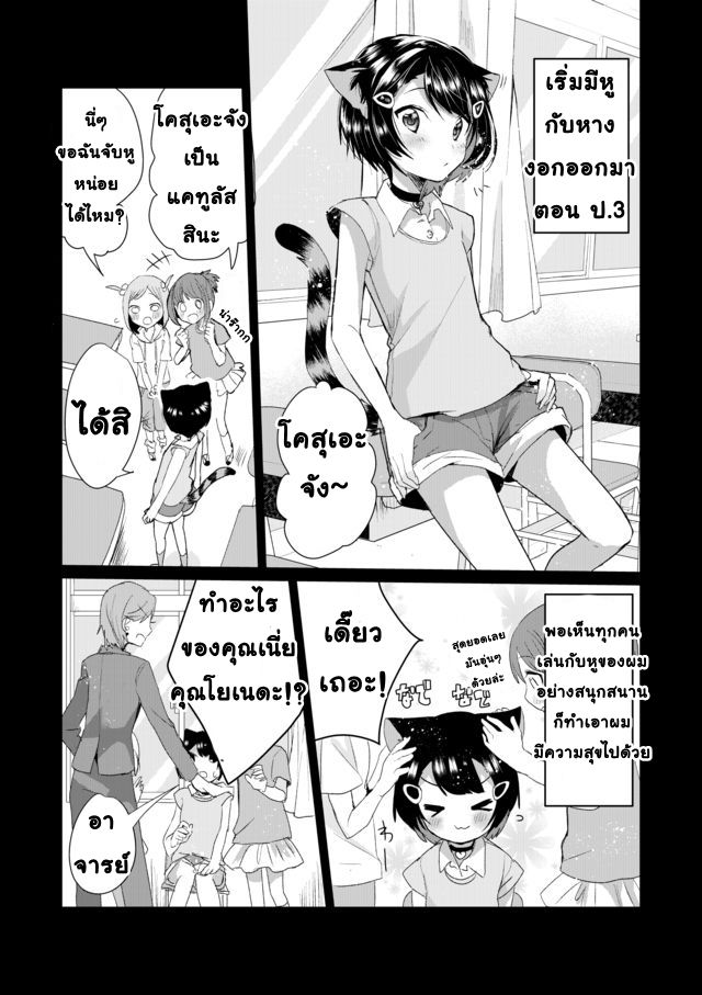 Nekomusume Shoukougun 7-7
