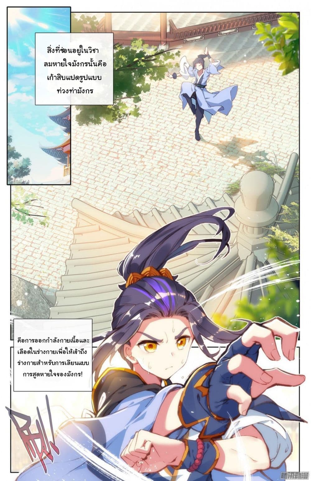 Yuan Zun 13-13