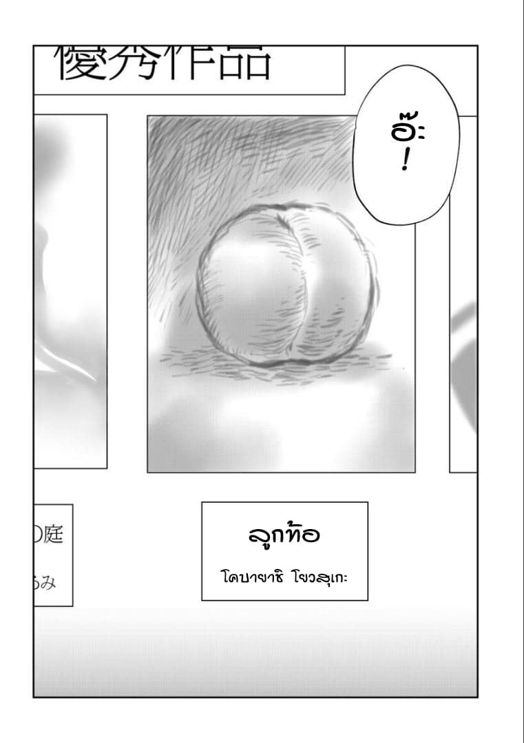 Peach 1-1