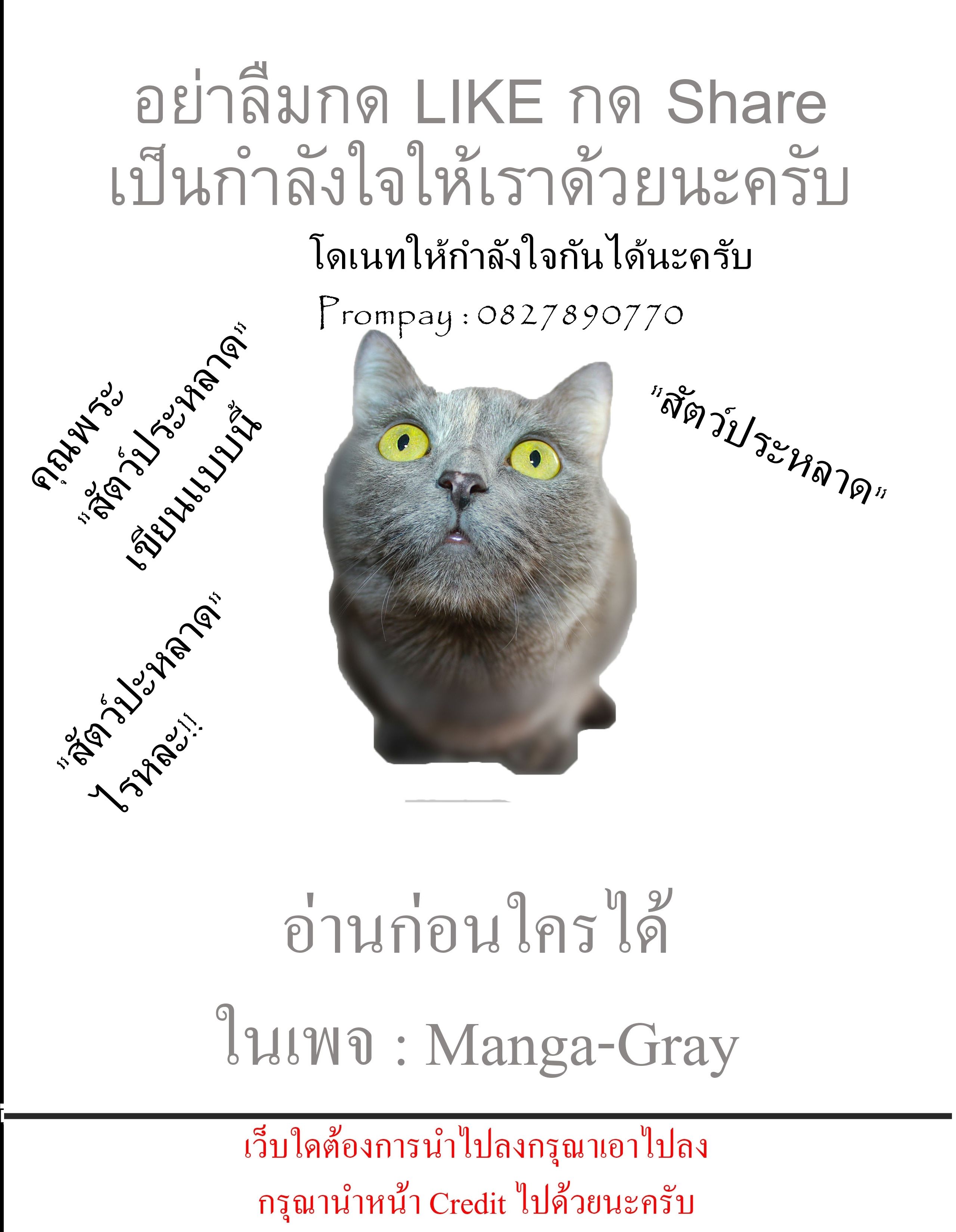 Pygmalion 4-4