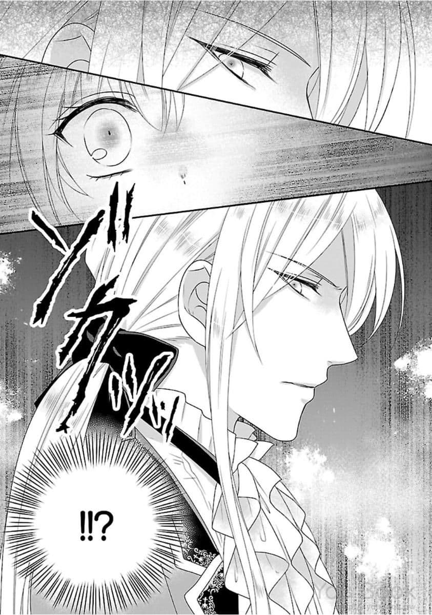 Fake Cinderella 3-3