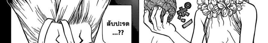 Dr.Stone 120-Top Secret