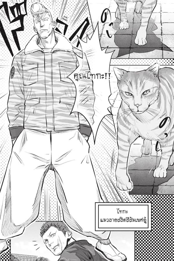 Nyankees 1-ชื่อของเขาคือ...