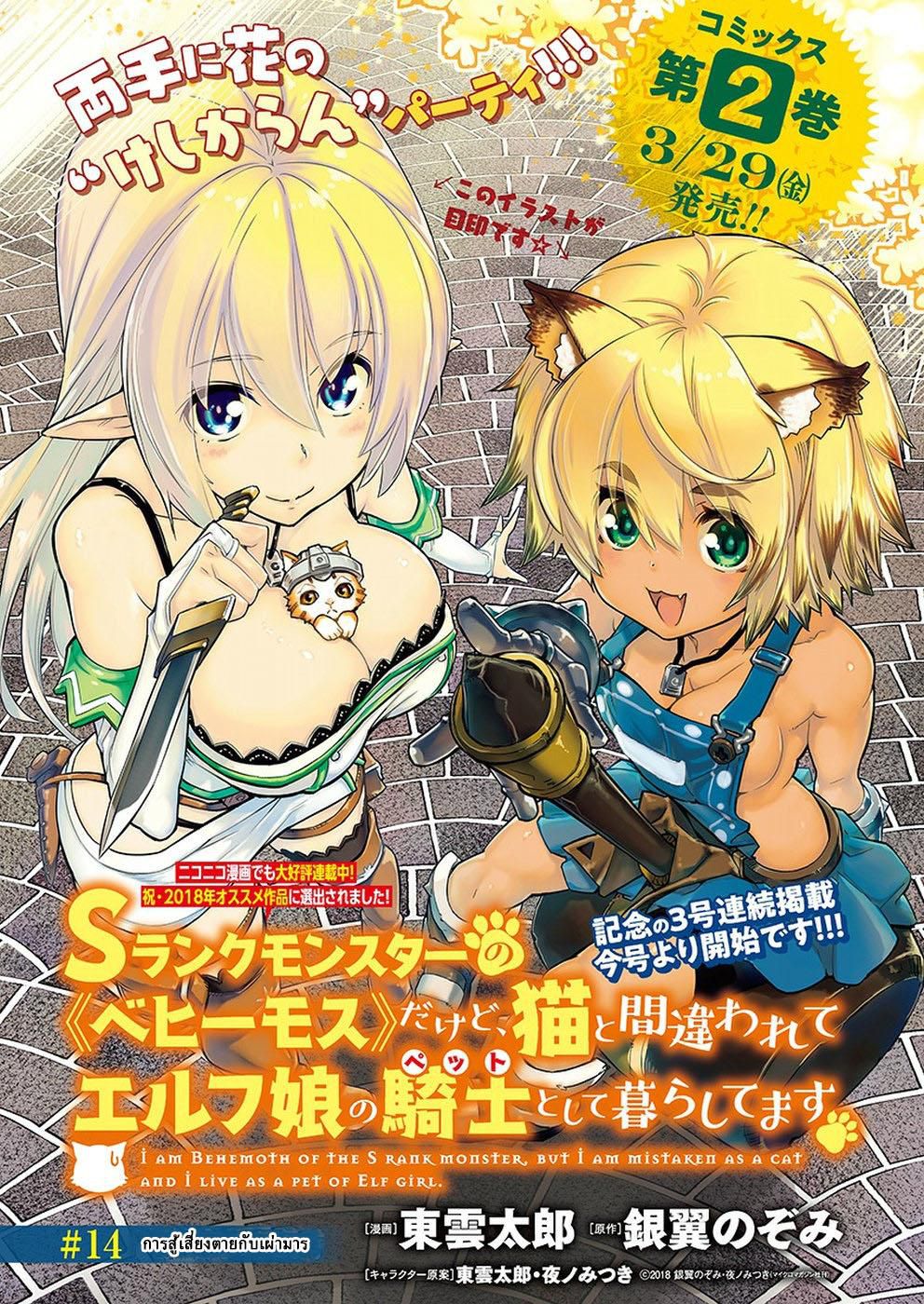 S-Rank Monster no 《Behemoth》 Dakedo, Neko to Machigawarete Erufu Musume no Kishi(Pet) Toshite Kurashitemasu 14-การต่อสู้เสี่ยงตายกับเผ่ามาร
