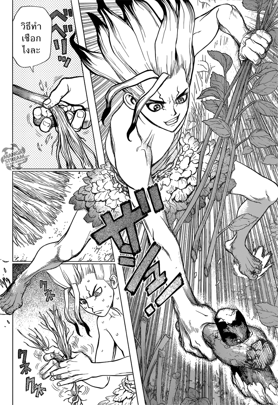 Dr.Stone 13-จุดเริ่มต้นเเห่งยุคหิน