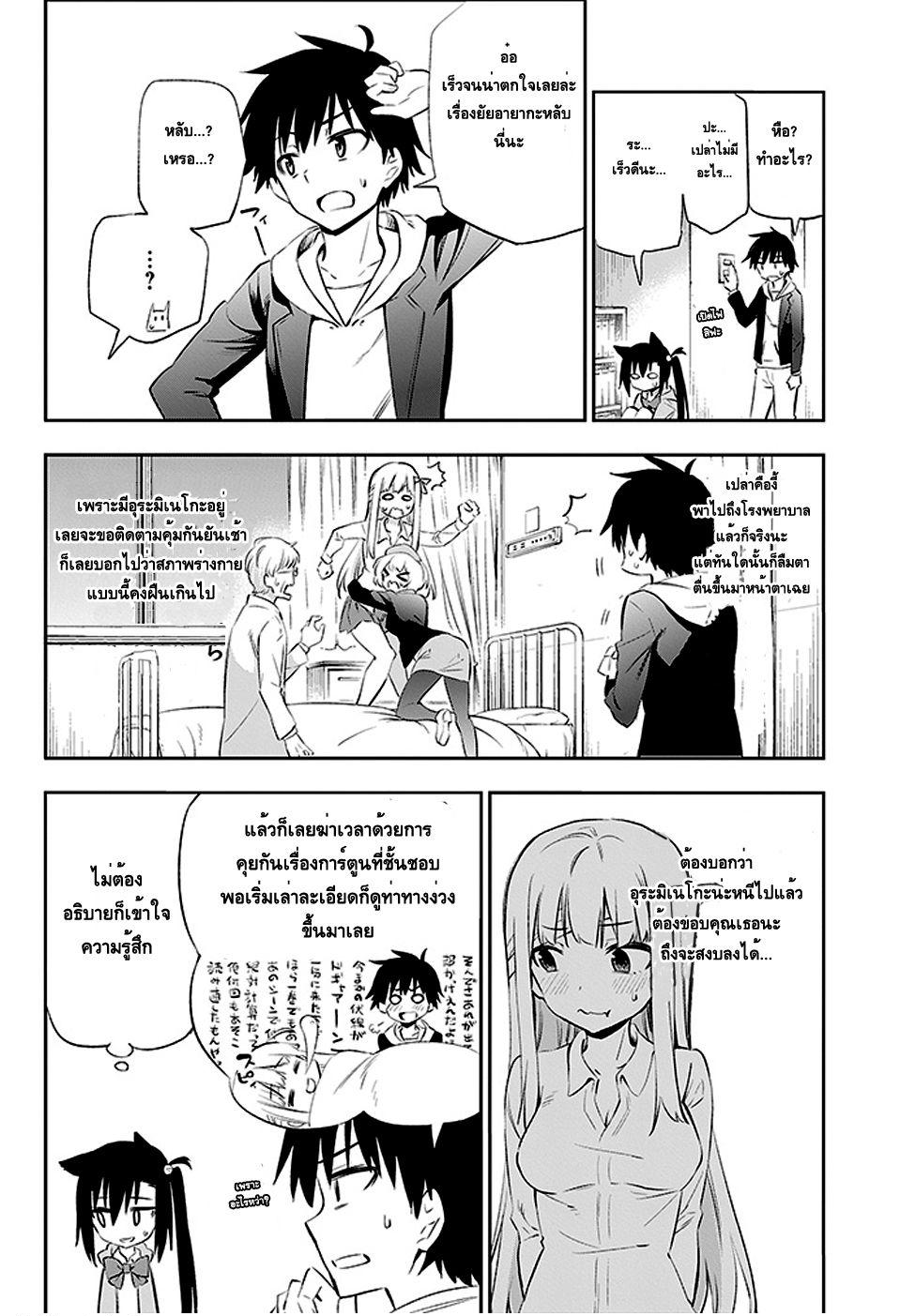 Urami Koi, Koi, Urami Koi 3-การตอบแทนบุญคุณของแมว