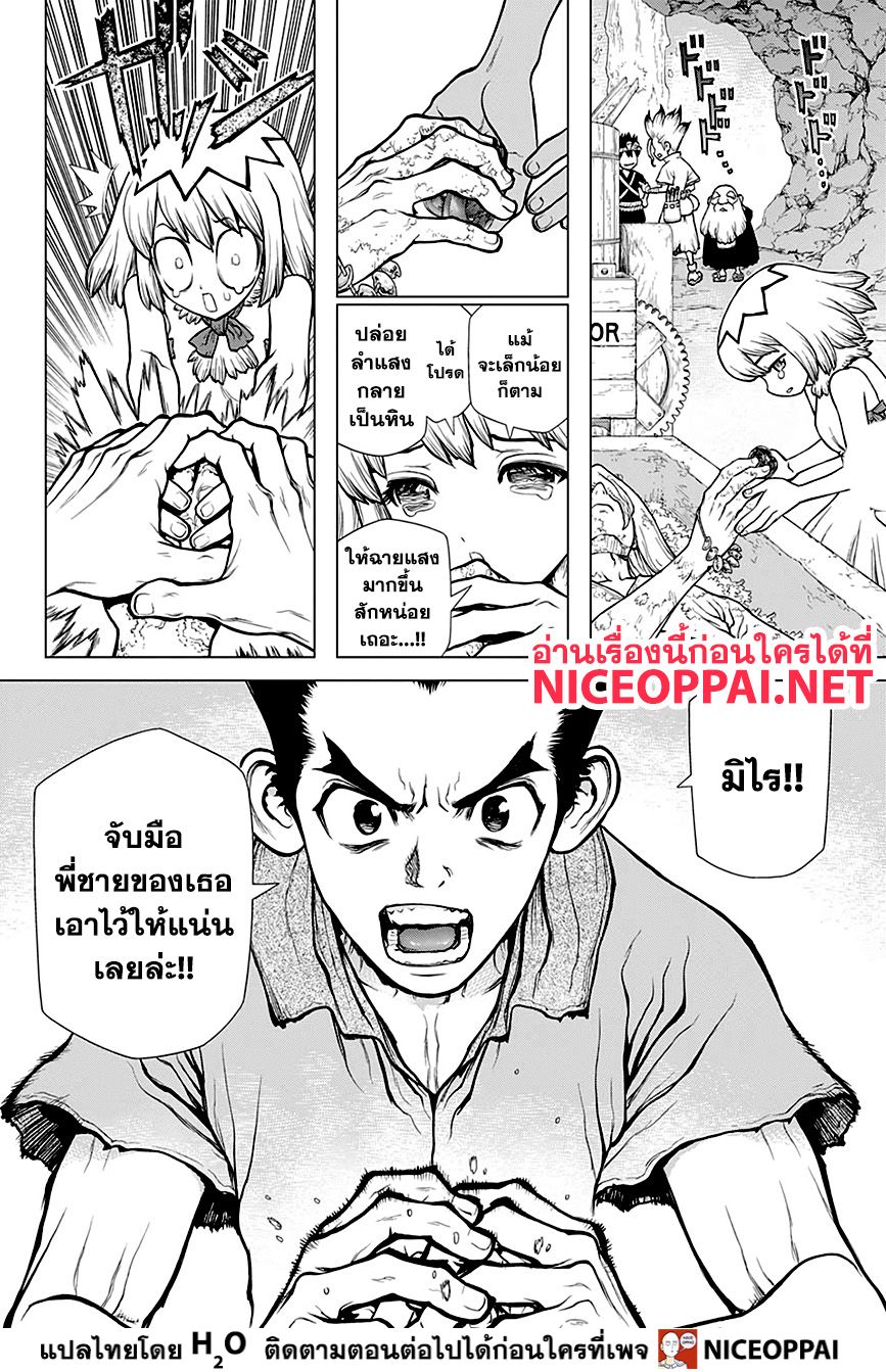 Dr.Stone 141-FIRST TEAM