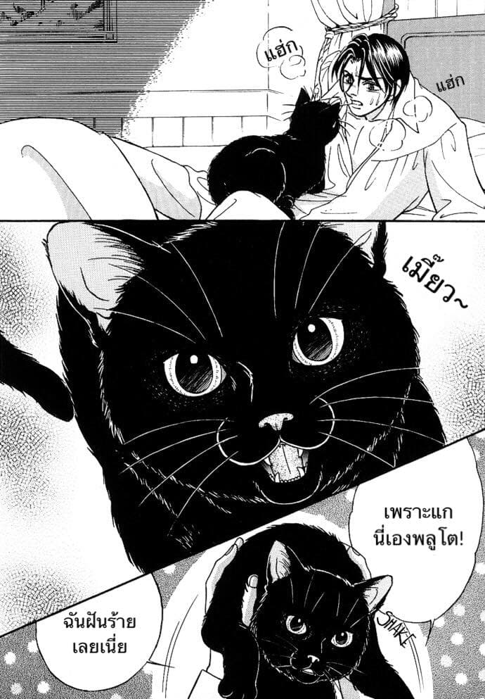 The Black Cat 1-1