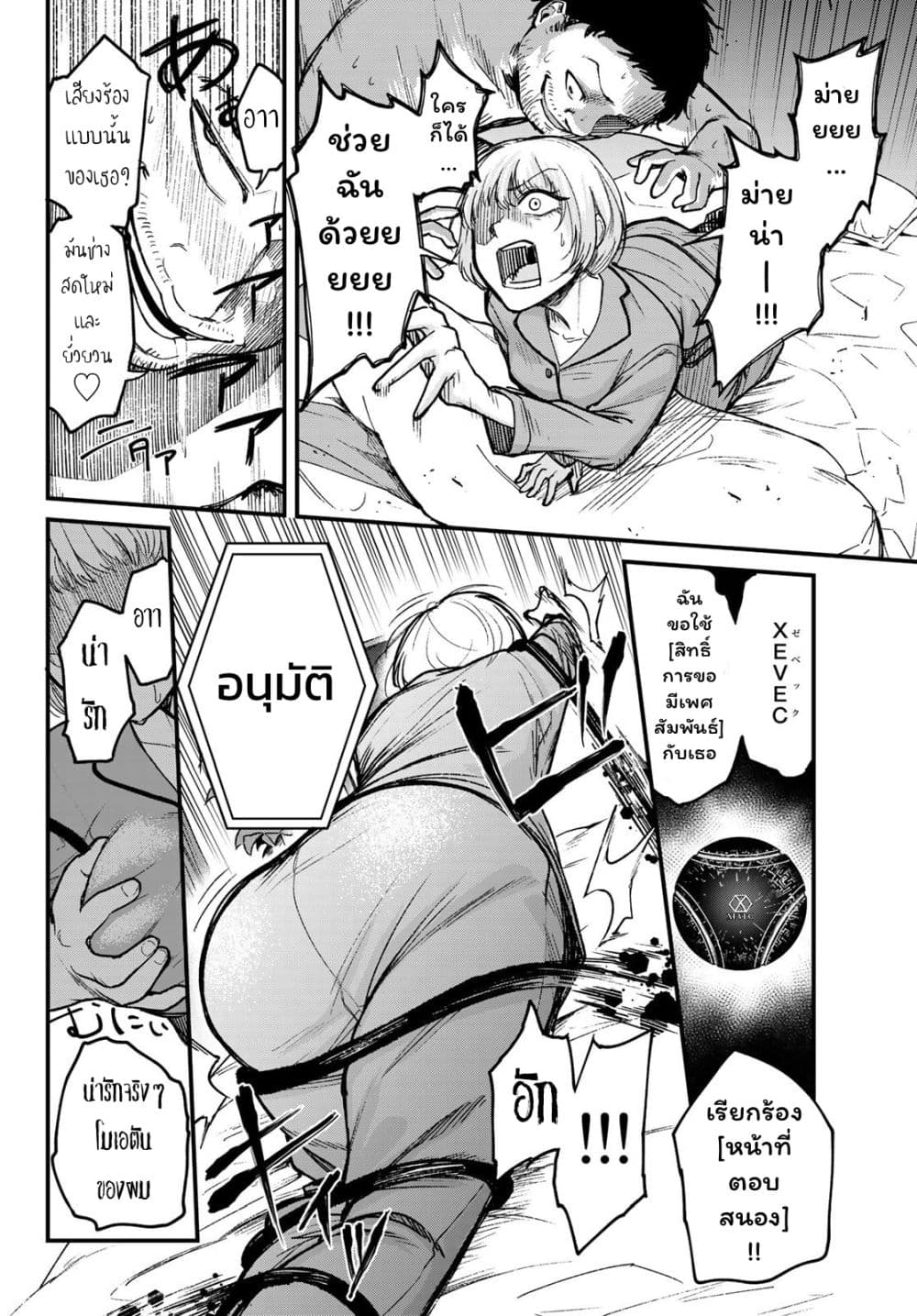 XEVEC 2-2