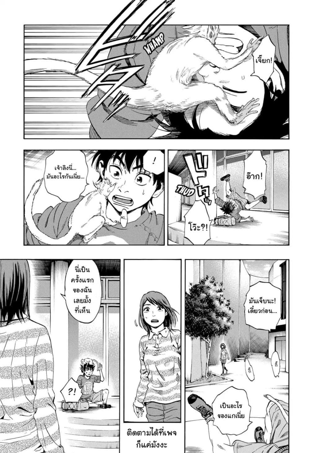 Arata Primal 1-1
