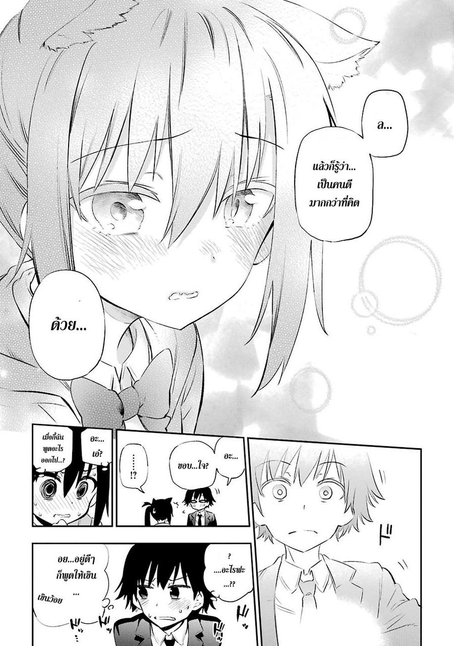 Urami Koi, Koi, Urami Koi 5-แมวที่จับหนูไม่ได้, หนูไล่แมว