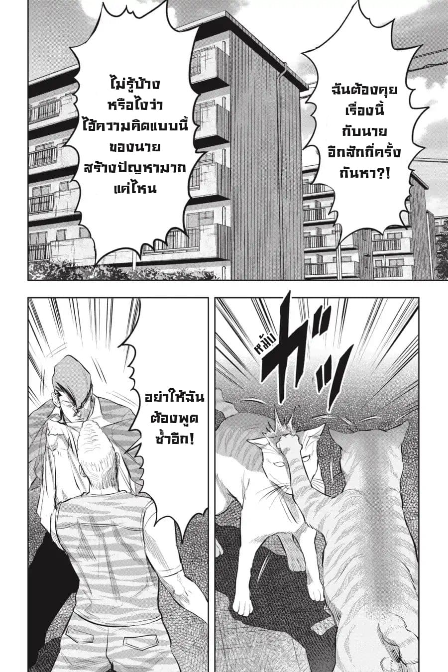 Nyankees 15-แมวสองพี่น้อง