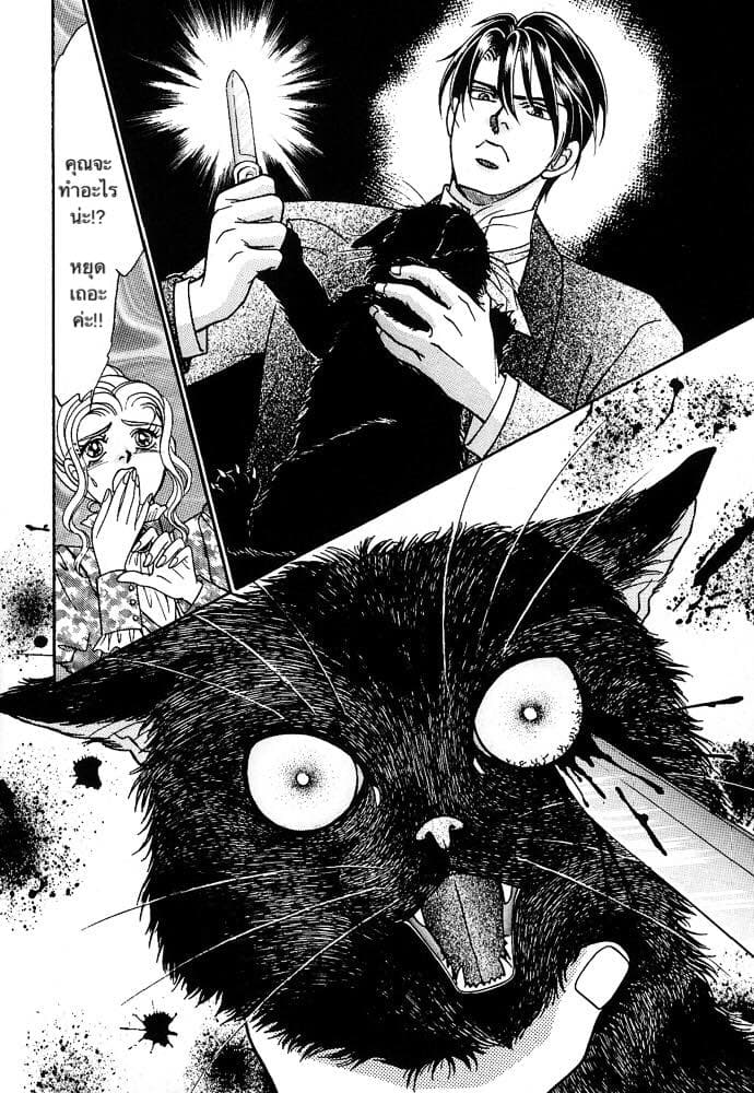 The Black Cat 1-1
