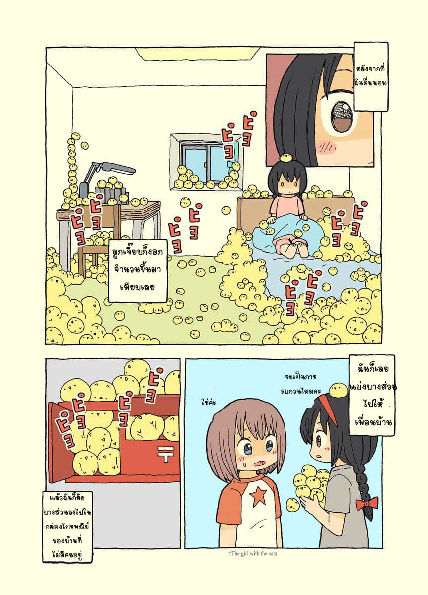 Kemoraifu 4-4