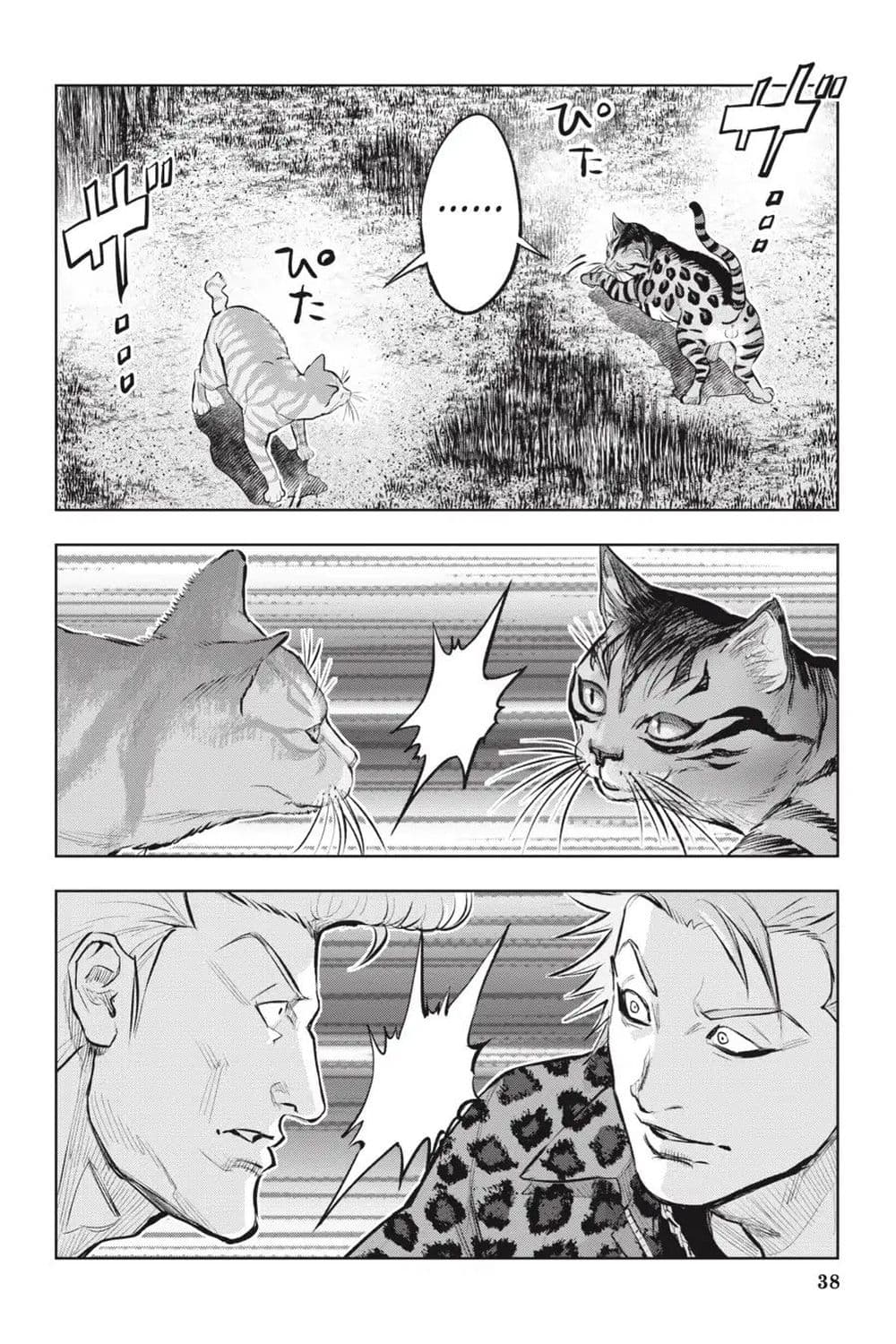 Nyankees 12-พร้อยลุย!