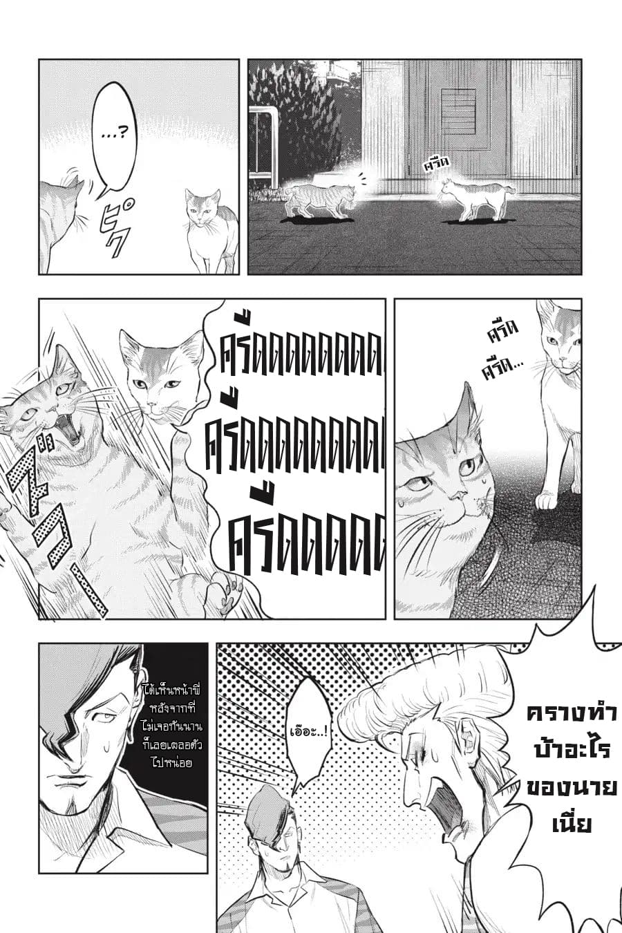Nyankees 15-แมวสองพี่น้อง