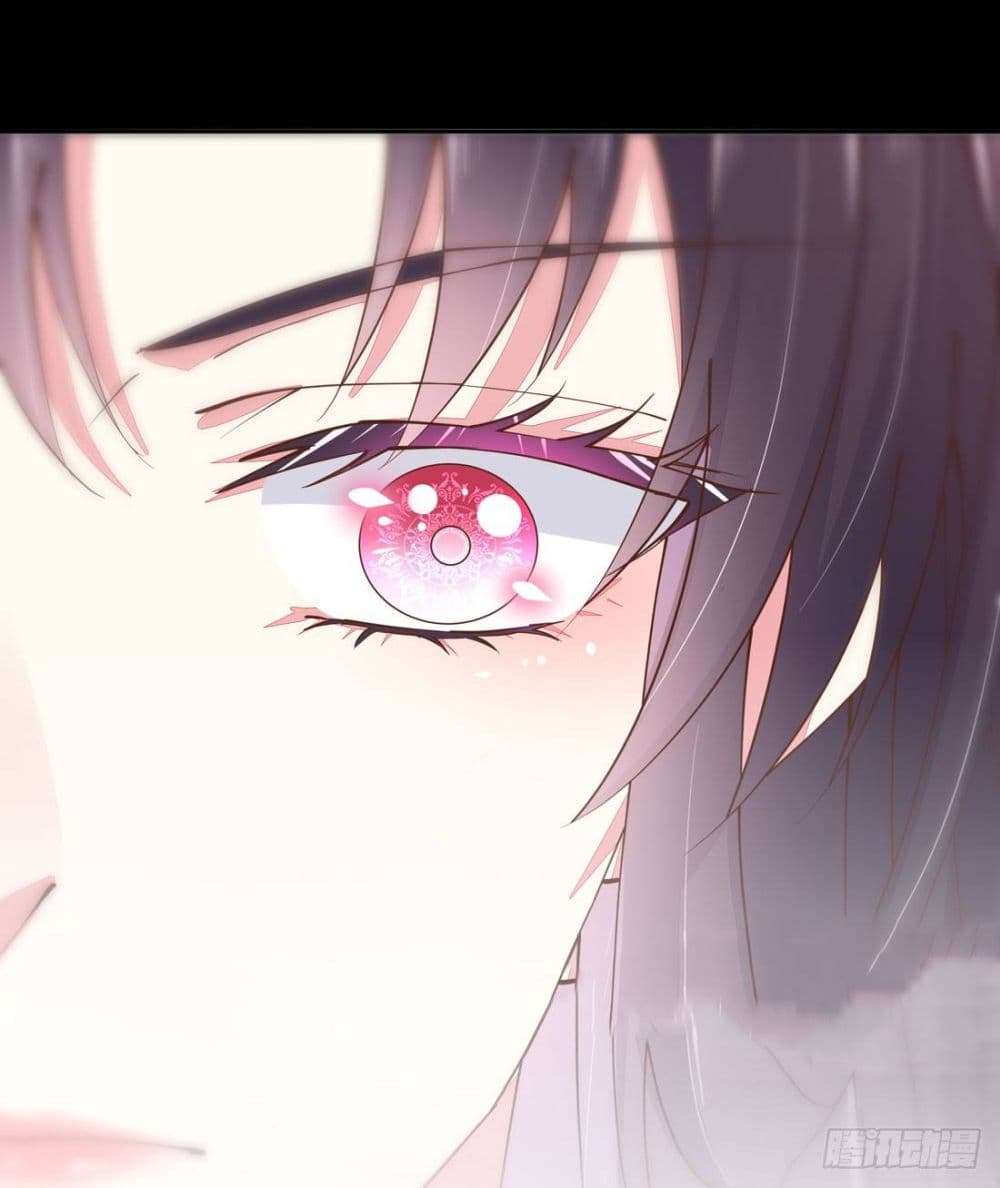Pupillary Master 1-1