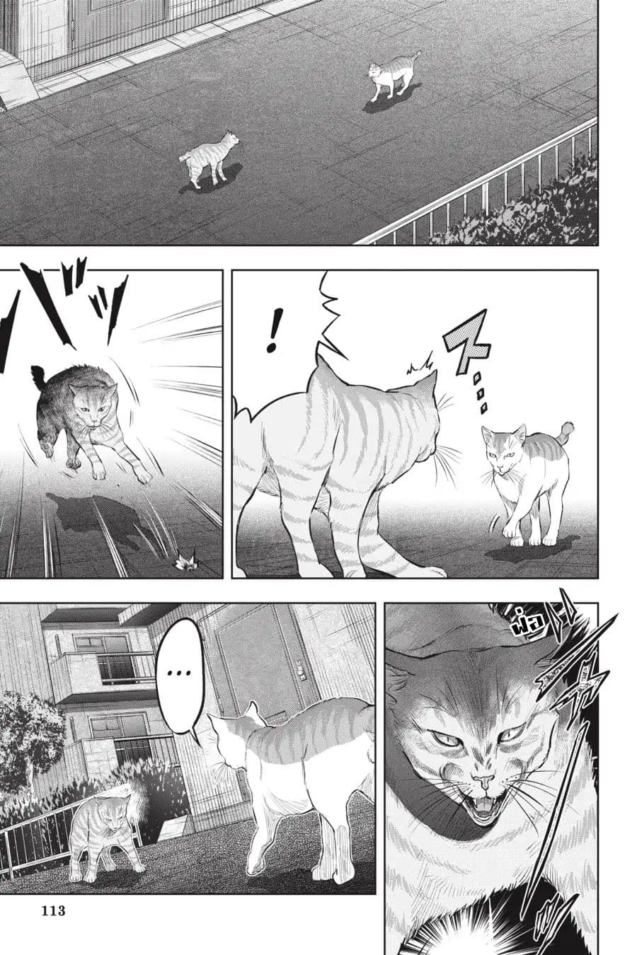 Nyankees 15-แมวสองพี่น้อง
