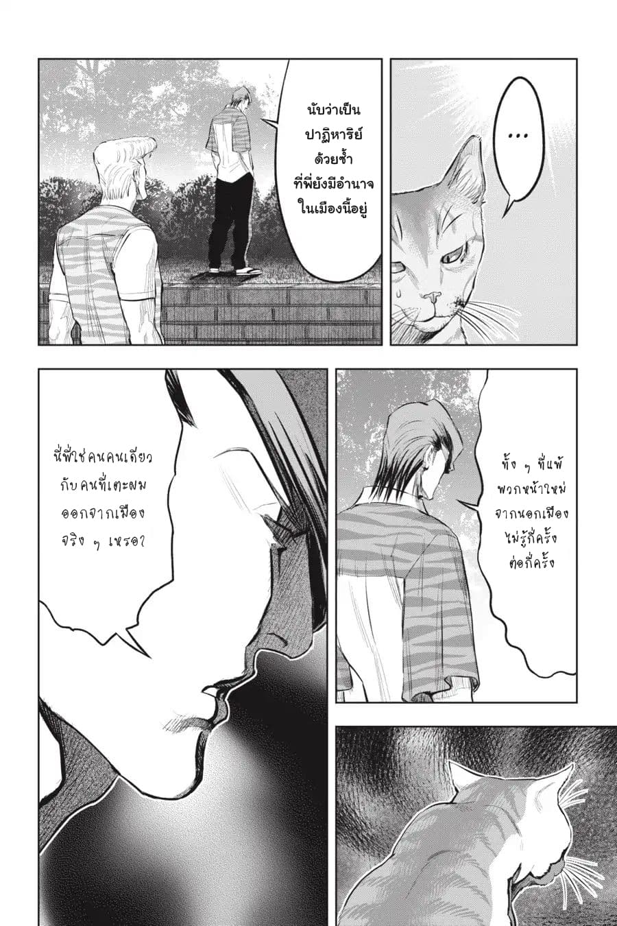 Nyankees 15-แมวสองพี่น้อง