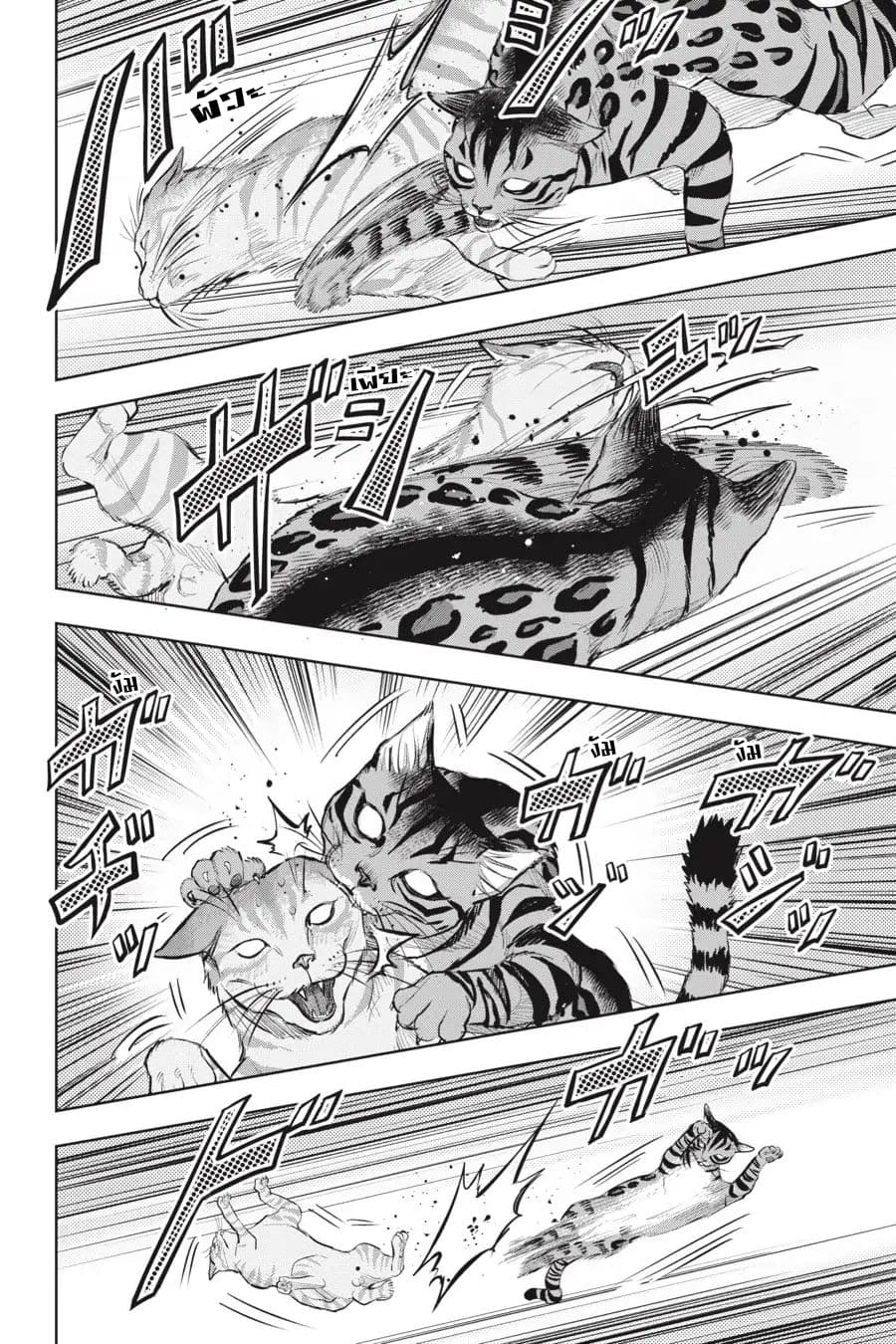 Nyankees 13-อ้วกก้อนขน