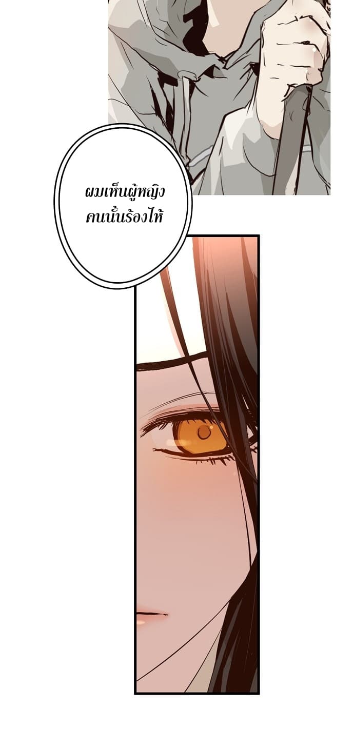 Promised Orchid สัญญาแดนกล้วยไม้ 7-7