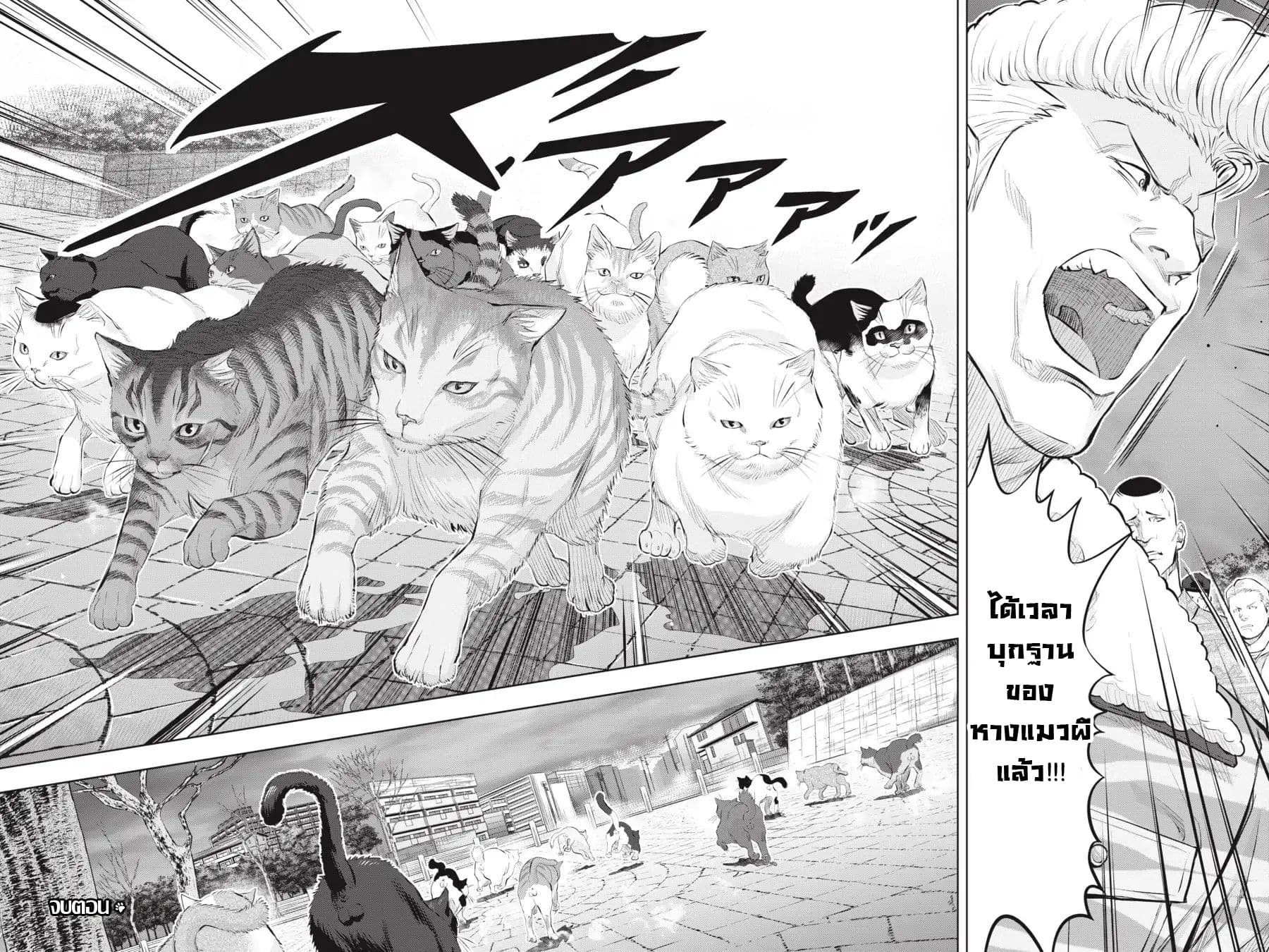 Nyankees 5-คืนที่จันทร์สาดส่อง