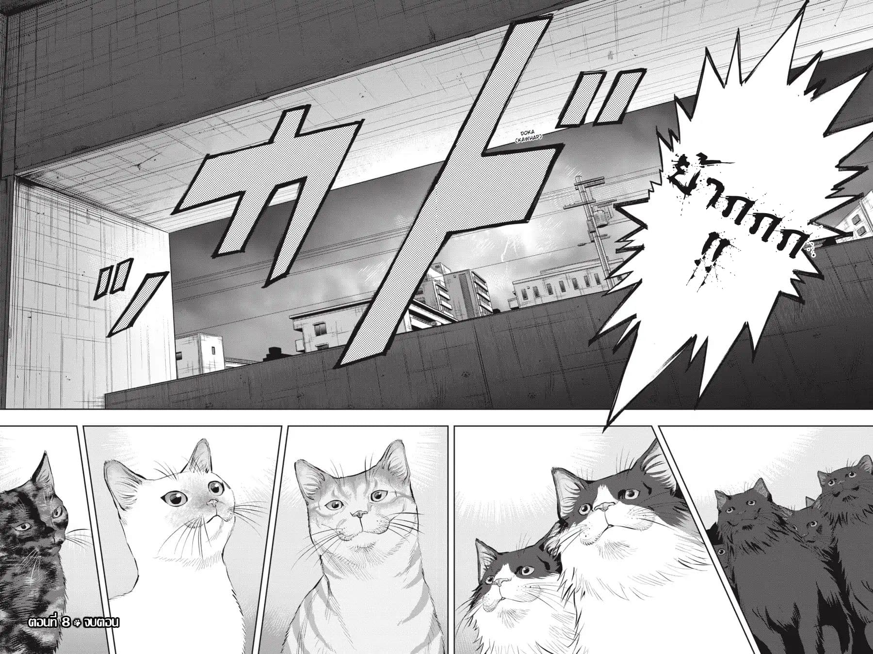 Nyankees 8-วิถีชีวิตของแมว
