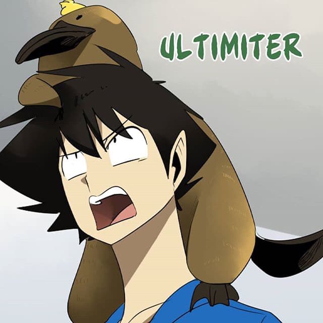 Ultimiter 17-17