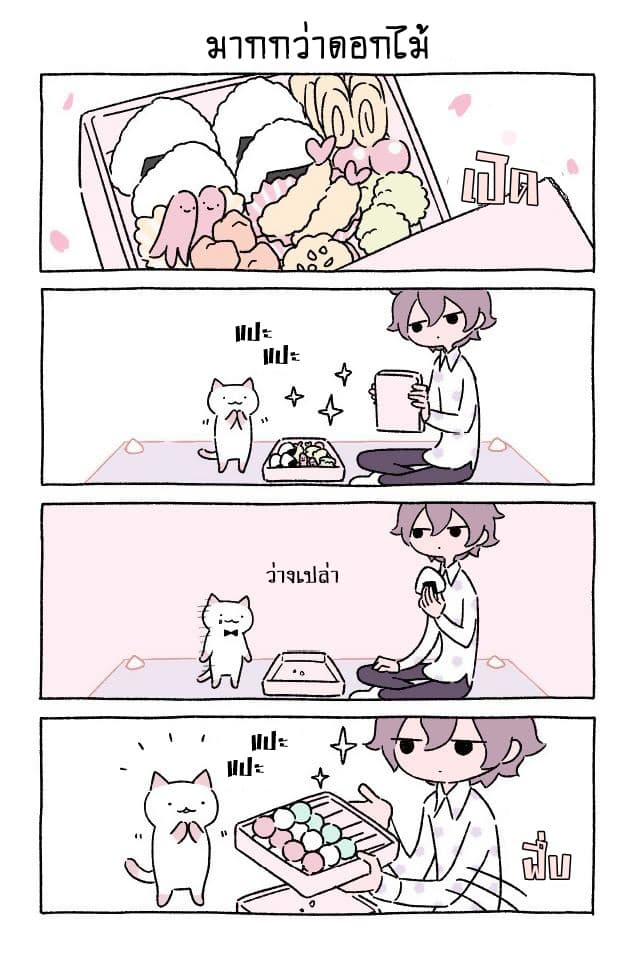 Wonder Cat Kyuu-chan คิวจัง แมวมหัศจรรย์ 4-4