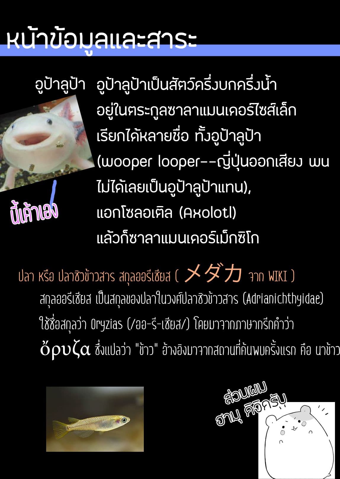 Ore Wa Inu Dewa Arimasen! ผมไม่ใช่น้องหมานะครับรุ่นพี่!! 1-การพบเจอกับรุ่นพี่
