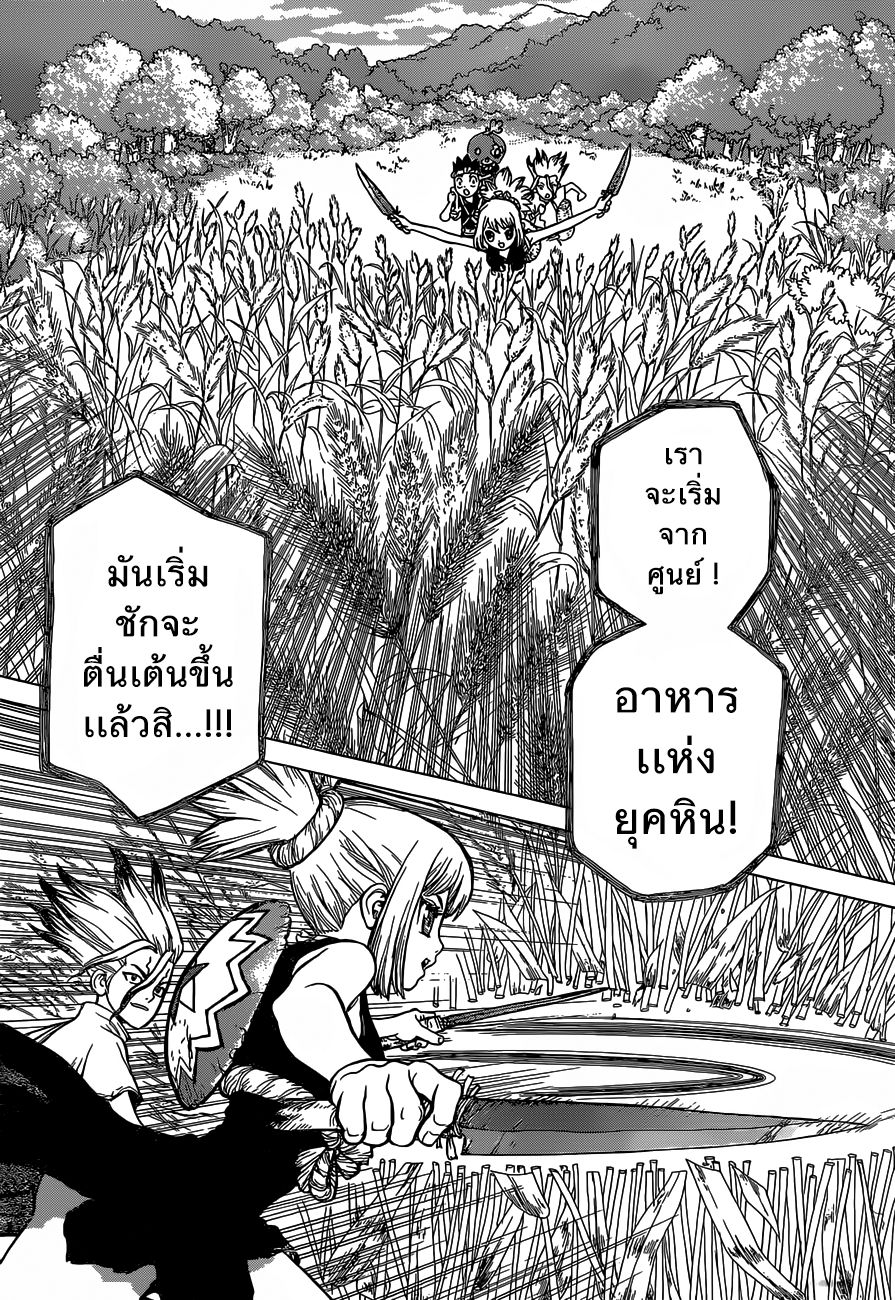 Dr.Stone 22-นี่คืออาหารแห่งยุคหิน!!!