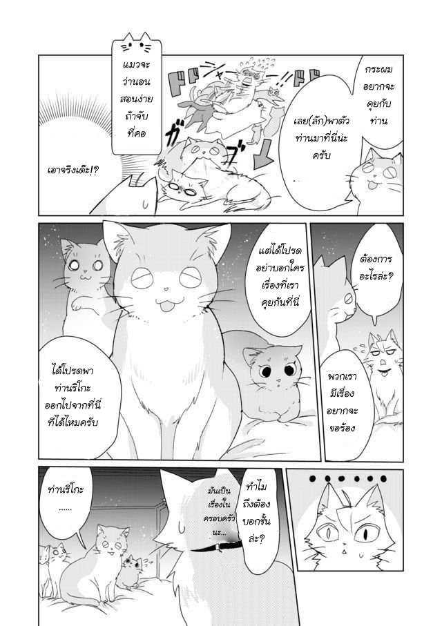 Nekomusume Shoukougun 4-4