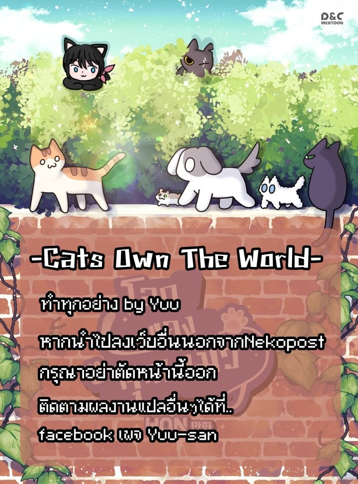 Cats Own The World 1-1