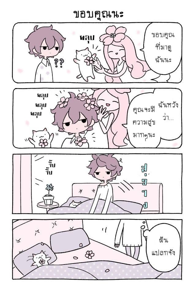 Wonder Cat Kyuu-chan คิวจัง แมวมหัศจรรย์ 4-4