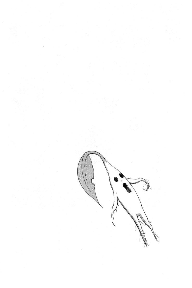 Flying Witch 2-หญ้าริมทางเป็นยาที่มีประสิทธิภาพรอบด้าน
