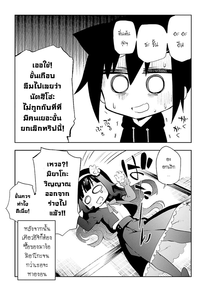 Urami Koi, Koi, Urami Koi 24-การประลองระหว่างวัวและแมว