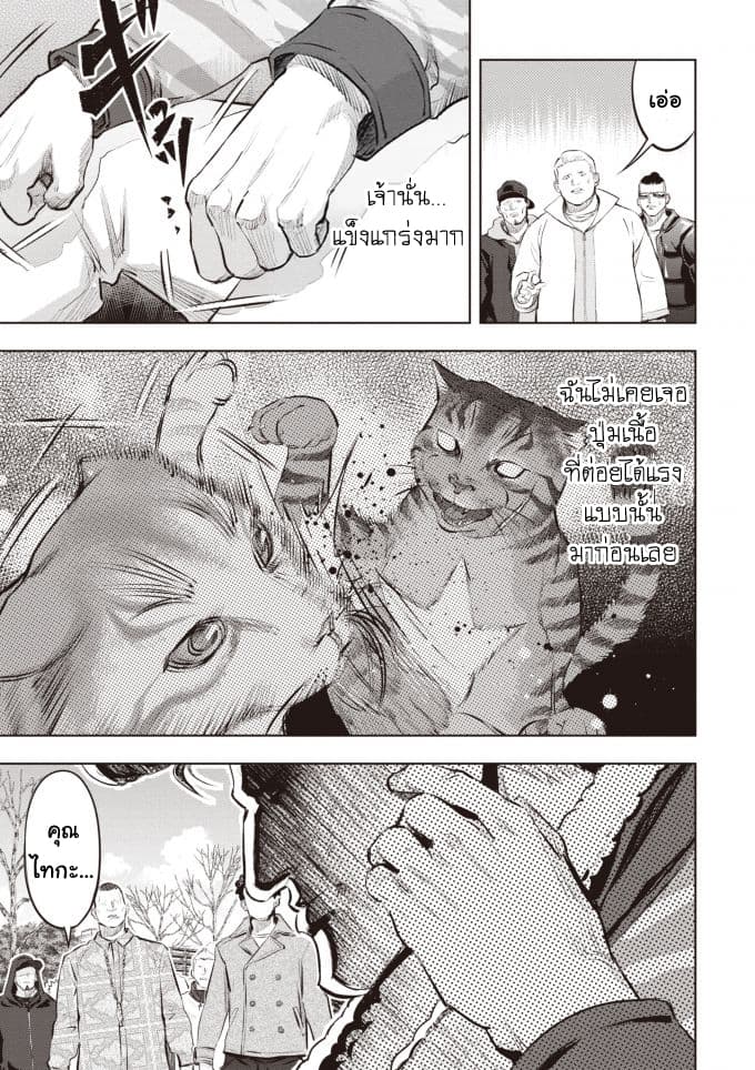 Nyankees 2-บอสแห่งเมืองเนโกะนากิ