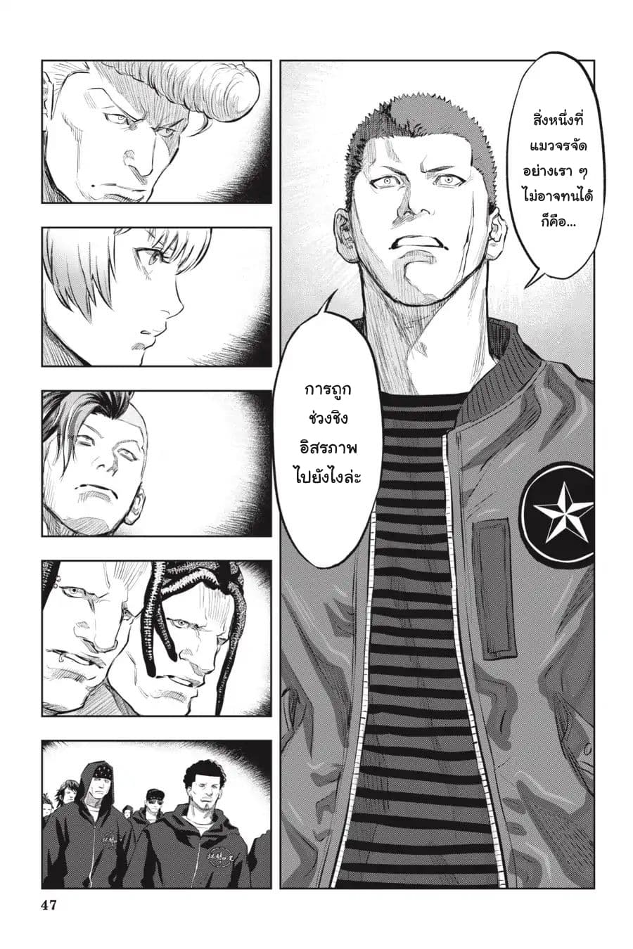Nyankees 8-วิถีชีวิตของแมว