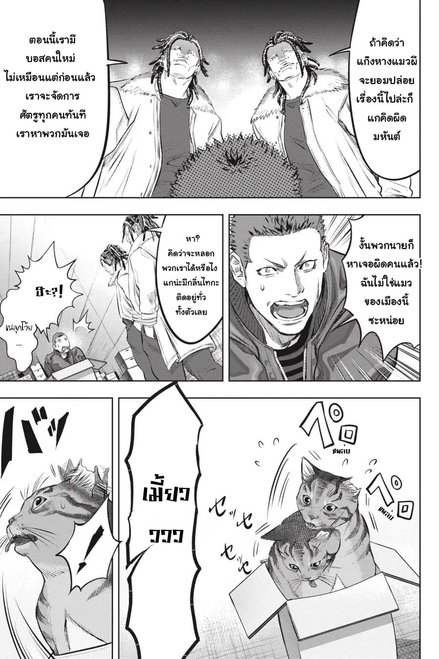 Nyankees 2-บอสแห่งเมืองเนโกะนากิ
