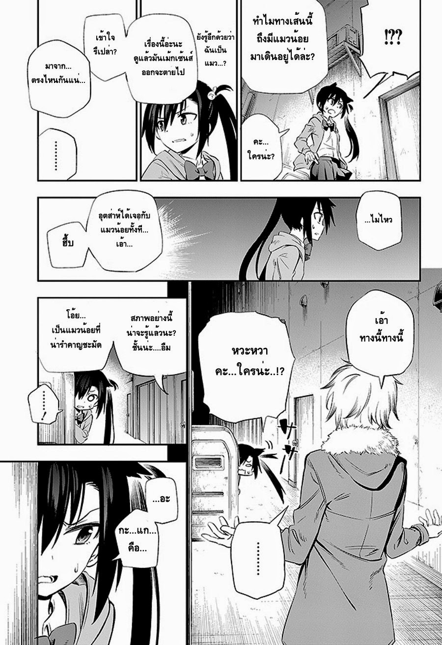 Urami Koi, Koi, Urami Koi 2-แม้แต่หนูถ้าจนมุมก็ยังกัดแมว