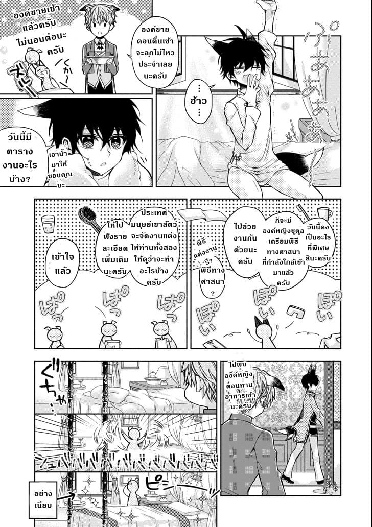 Garden Sphere 4-สิ่งที่เหนือความคาดหมาย